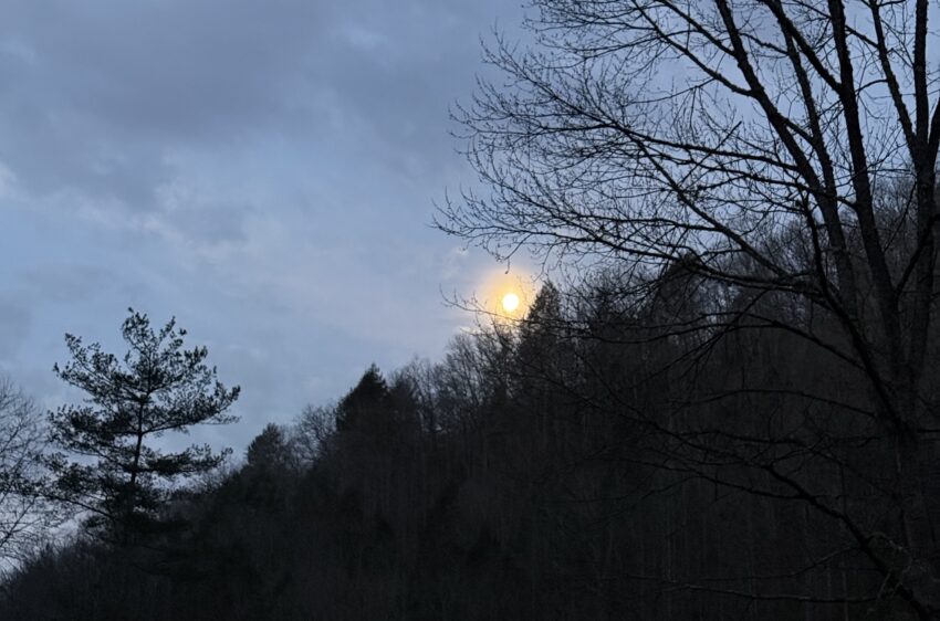 A full moon on a cloudy morning, disappearing behind a tree-covered ridge.